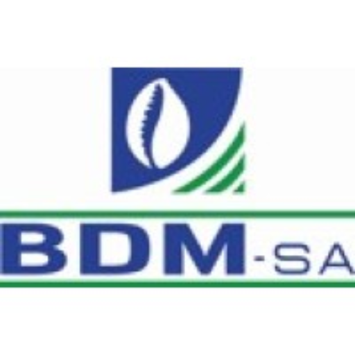 BDM-SA