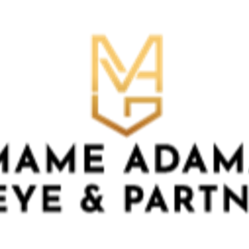 Mame Adama Gueye Partners