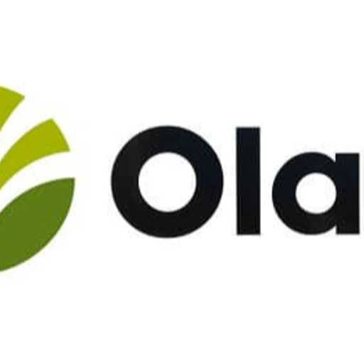 Olam Group